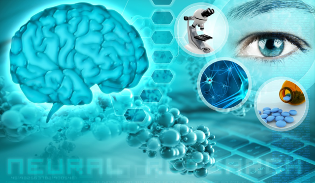 La neuropsicología en la actualidad