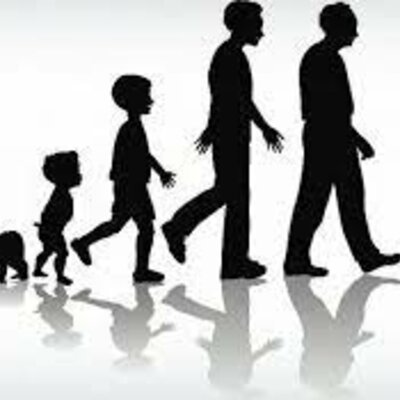 Timeline: Linea de vida