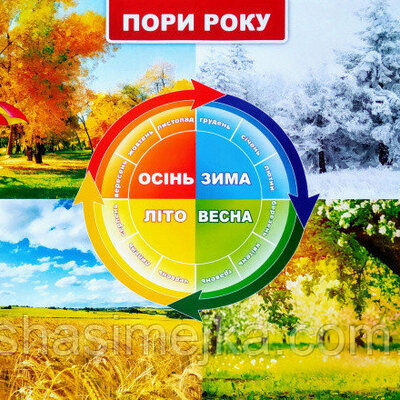 Timeline: Пори року