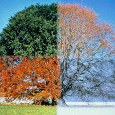 Timeline: Пори року