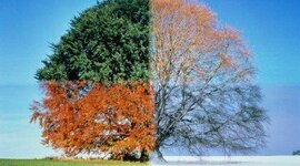 Timeline: Пори року