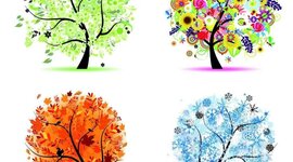 Timeline: Пори року