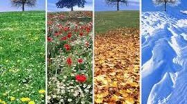 Timeline: ПОРИ РОКУ