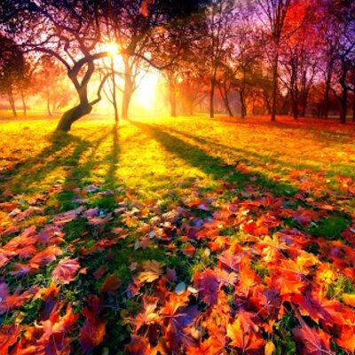 Timeline: Пори року