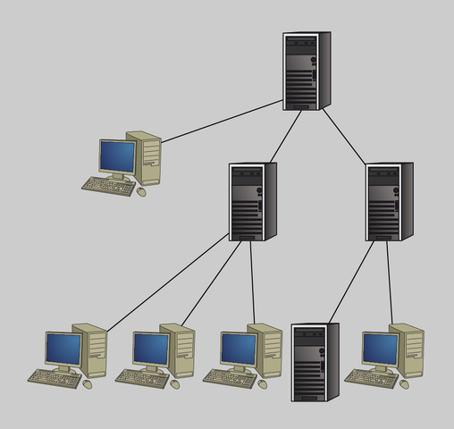 naiximent de la xarxa interconnectada
