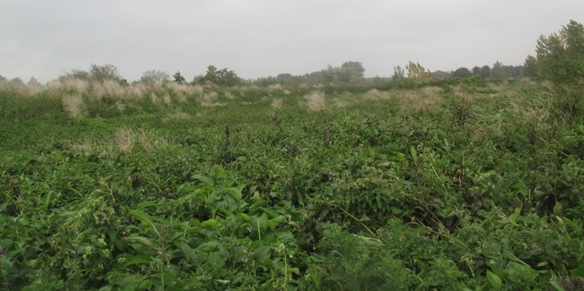 Dixième campagne d'échantillonnage (TD26)