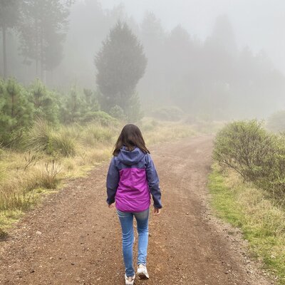 Timeline: Mi línea del tiempo