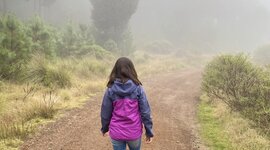 Timeline: Mi línea del tiempo