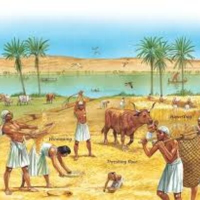 Timeline: Mesopotamian Agriculture Timeline 11/1/21 Simon Berthiaume