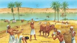 Timeline: Mesopotamian Agriculture Timeline 11/1/21 Simon Berthiaume