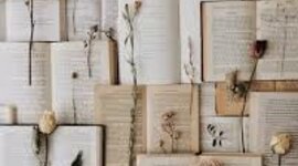 Timeline: DIARIO LECTOR