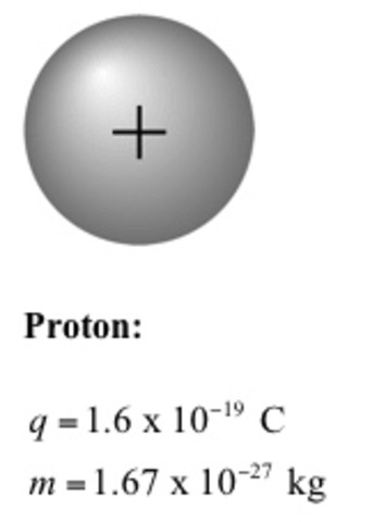 The Proton
