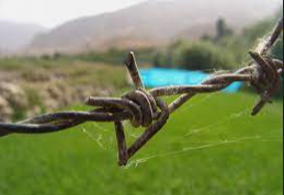 Invention of the Barbed Wire