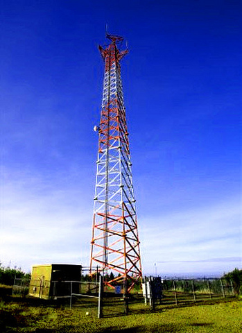 cell for cell phones