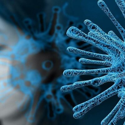 Timeline: Linea de tiempo - Covid 19