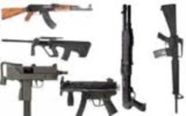 Lodi only has elephants... not guns