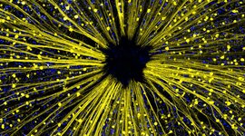 Timeline: Teoría celular