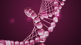 Timeline: ❥ :: Historia Genética.