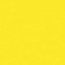 Persecuzione e complotto delle polveri