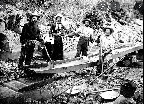 The California Gold Rush