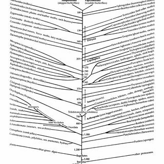 José Antonio González Oreja