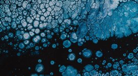 Timeline: Teoria Celular