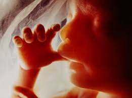 FORMACIÓN DE UNA NUEVA VIDA