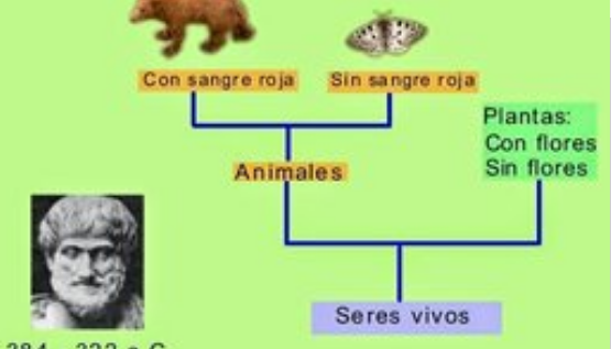 350 BCE el esencialismo