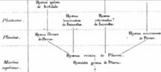 Árbol filogenético de Jean Albert Graudy