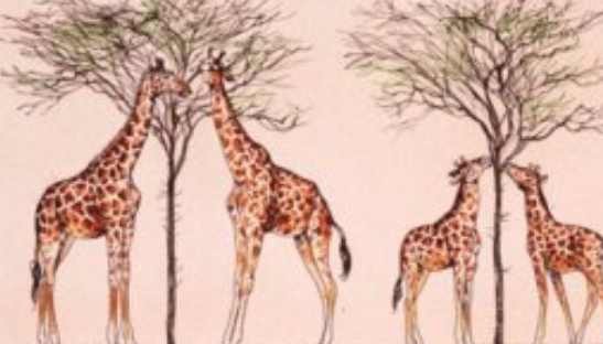 Árbol filogenético El transformismo