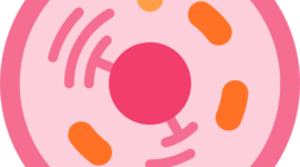 Timeline: Reproduccion celular