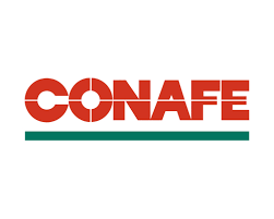 Surge la Compañía Nacional de Fuerza Eléctrica S.A.