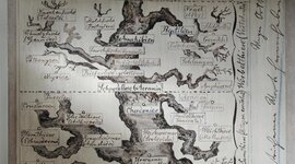 Timeline: Árbol Filogenético