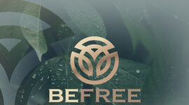 Timeline: EL NEGOCIO DE LA WEB....UNA MIRADA  A LA LINEA DEL TIEMPO WWW