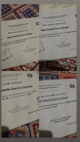 Excelente Desempeño academico