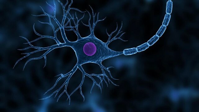 La gripe modifica las neuronas a largo plazo