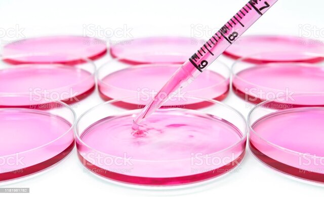 Células para curar la diabetes