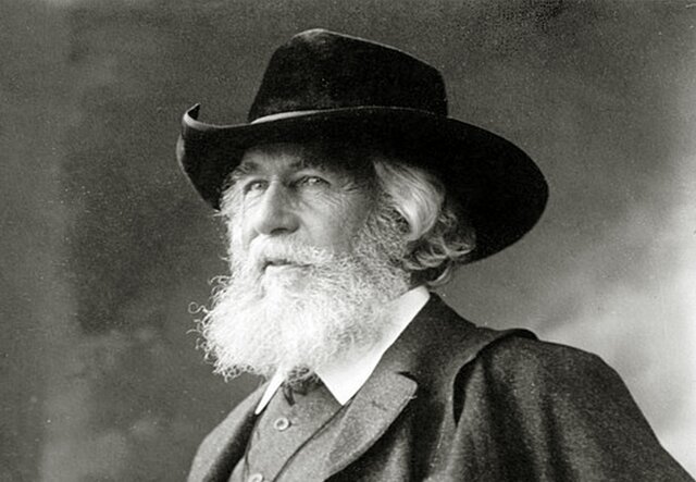 haeckel dibujo el primer árbol genealógico filogenético