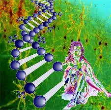 Descifran por primera vez el genoma de una mujer