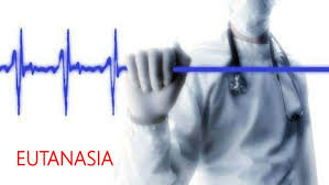 LA SOCIEDAD REAL DE MEDICINA