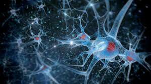 Manipular los recuerdos