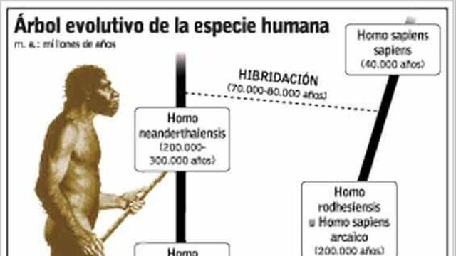 ¿Qué diferenciaba los Homo Sapiens de otras especies?