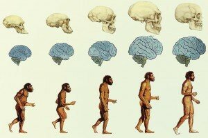 Cambios en el Homo Sapiens.