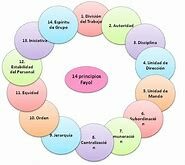 Fayol y los 14 principios de administración