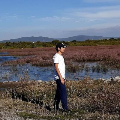 Timeline: Línea de tiempo (Logros y fracasos)