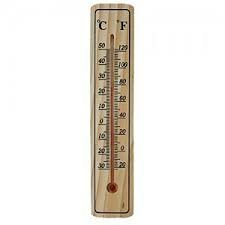 Mercury thermometer