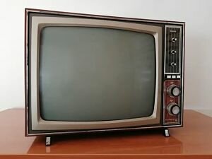 EL TELEVISOR