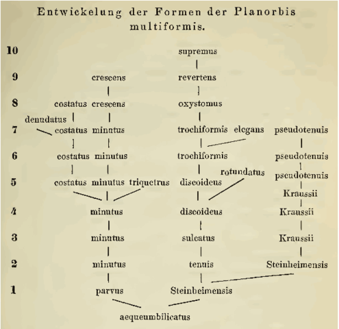 Franz Martin Hilgendorf