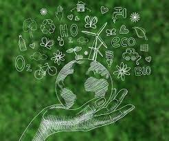 Desarrollo ciencias naturales