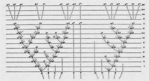Árbol de Charles Darwin